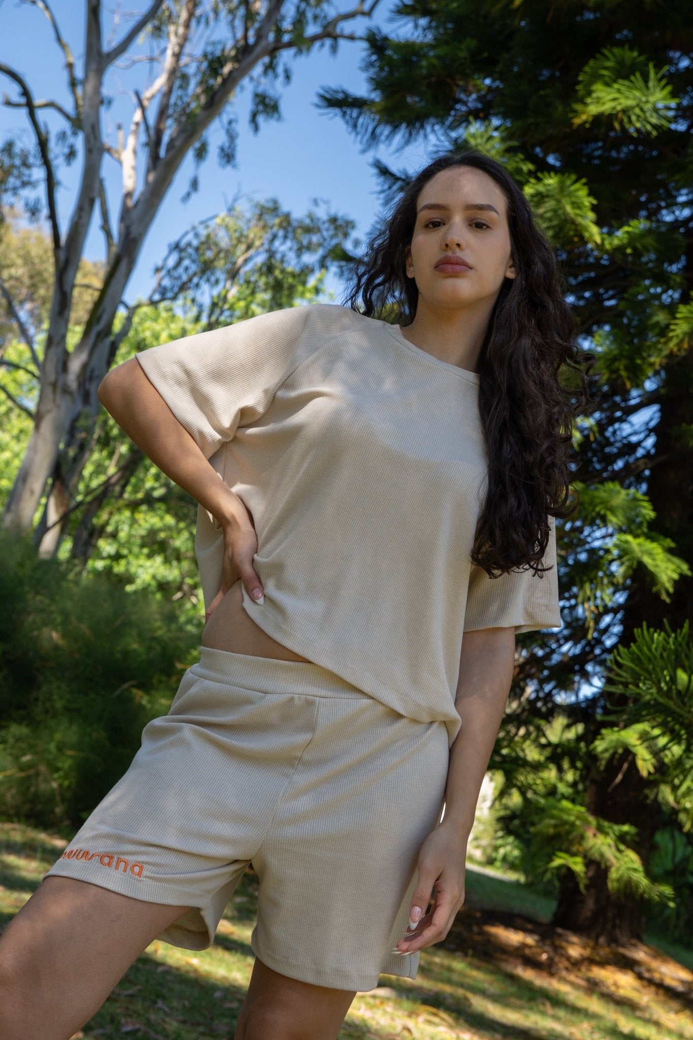Set SOLTERRA
