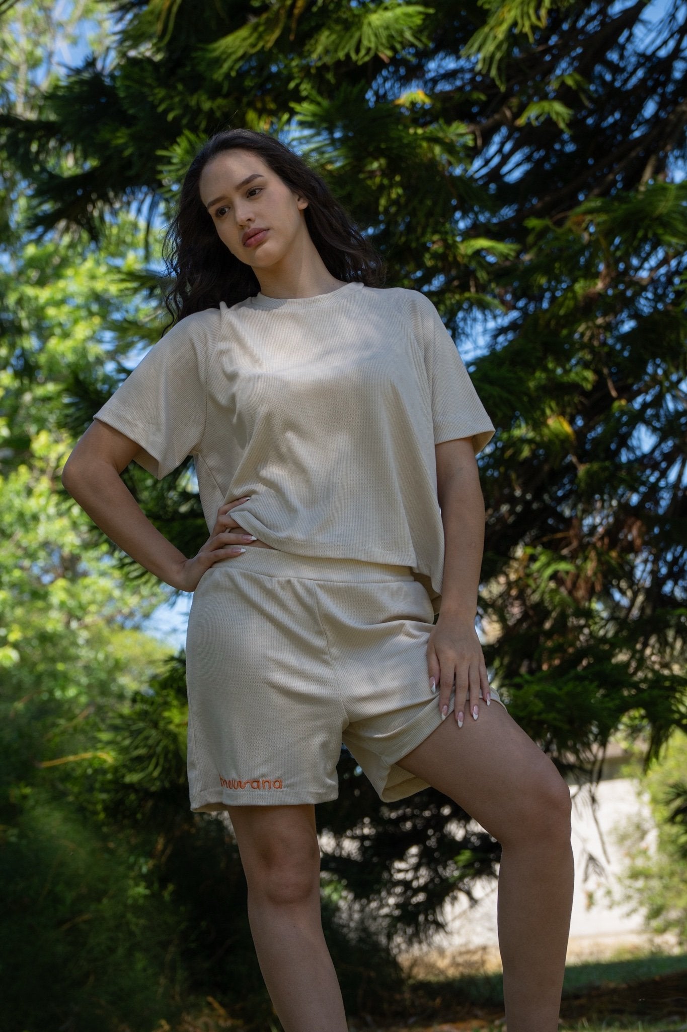 Set SOLTERRA